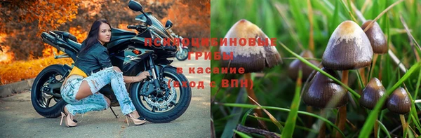 соль ск Арсеньев